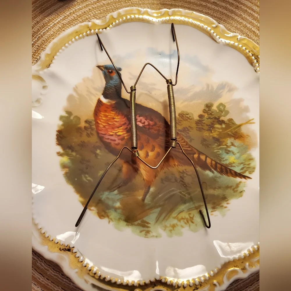Bavarian Vintage Decorative plate , early 1900s - Picture 9 of 12